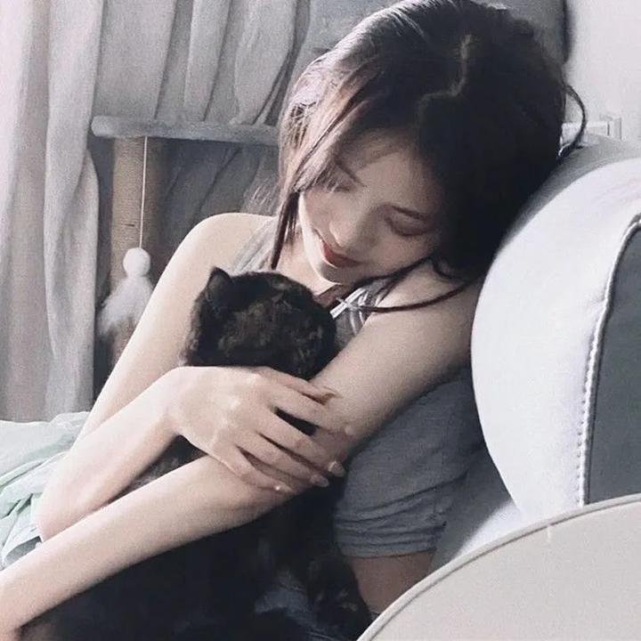 金牌贱猫:重新出击